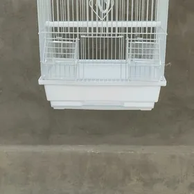 Guş Ketek