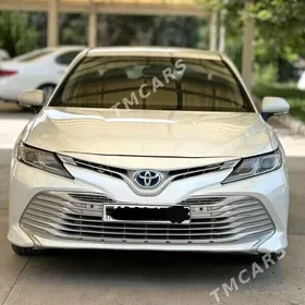 Toyota Camry 2019
