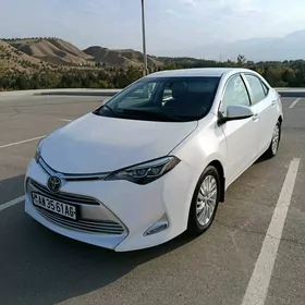 Toyota Corolla 2019