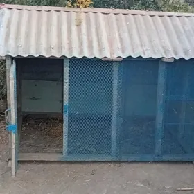 ketek