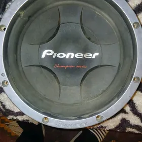 pioneer 900