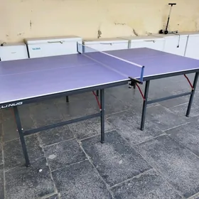 tenis