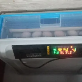inkobator