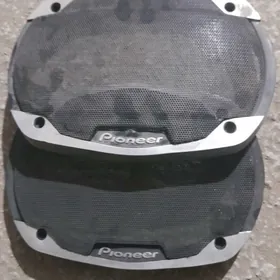 Pioneer setka
