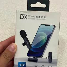 mikrofon/микрофон