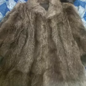 Şubalar täze
