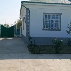 TAZE ZAMAN 2
