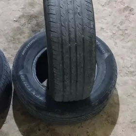 205.70.14 Zextogur tigir