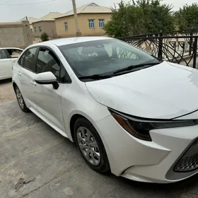 Toyota Corolla 2020