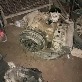 corona mator karopka