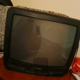 Telewizor