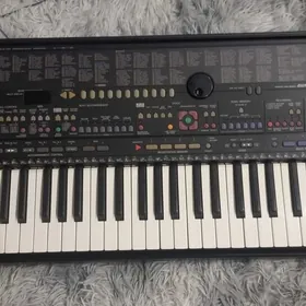 Ýamaha -510