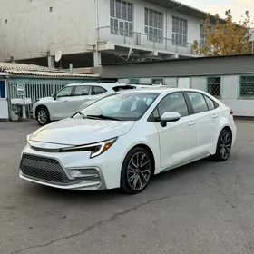Toyota Corolla 2020