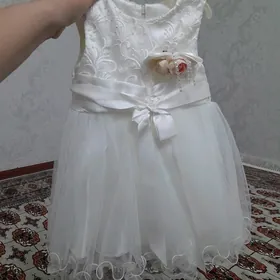 Ak koynek