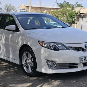 Toyota Camry 2013