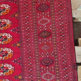 Gyzylarbat : 5 / 8 .Bejewii.