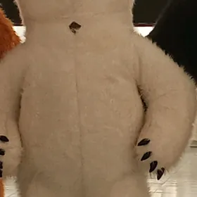 Misga animatör