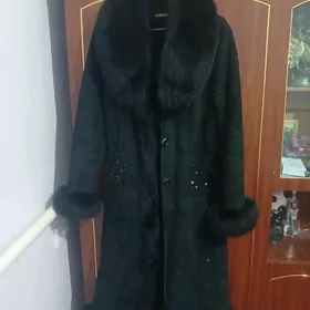 Palto