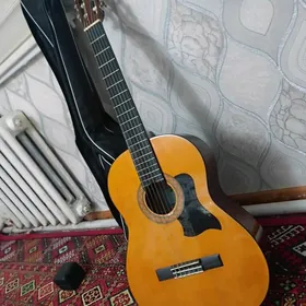 Gitara