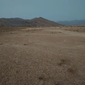 Doly tamamlandyk jay