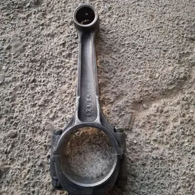 GAZEL SOTGA MATOR ŞATUN