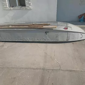 lotka akany kici gornusi