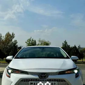 Toyota Corolla 2019