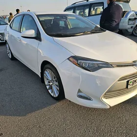 Toyota Corolla 2019