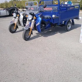 Fekon FK200-14G 2025