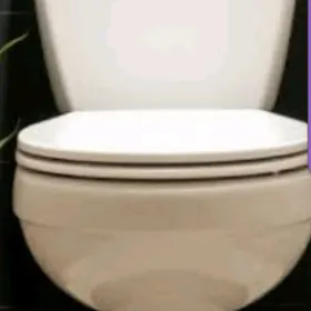 tualet  rakowina