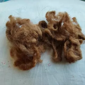 Шерсть верблюда