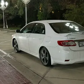 corolla obilsowka 11/13