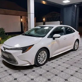 Toyota Corolla 2020