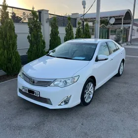 Toyota Camry 2013