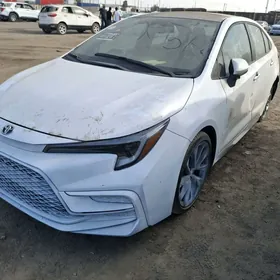 Toyota Corolla 2024