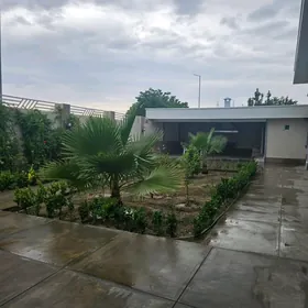  ЧОГАНЛЫ ФУЛ