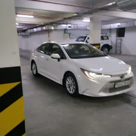 Toyota Corolla 2020