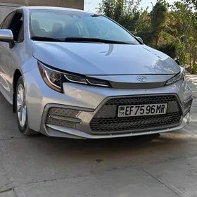 Toyota Corolla 2023