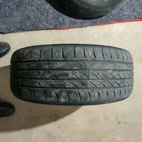 Tigir Radial 225/55/17