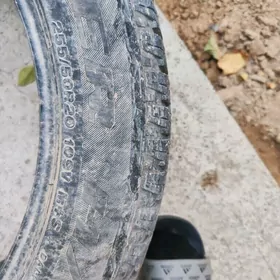 шына