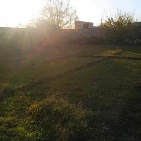 satlyk daça