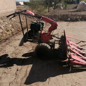 MTZ 80 2024