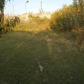 Daça Yokary Kerki