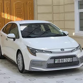 Toyota Corolla 2020