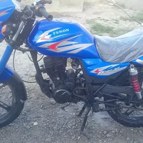 Fekon FK150-8G 2014