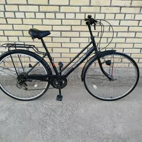 27 Tigir