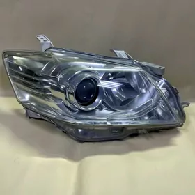 AURION SAG TARAP FARA