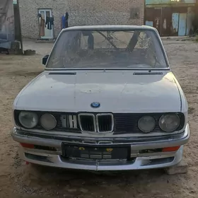e28 e30 kuzwa