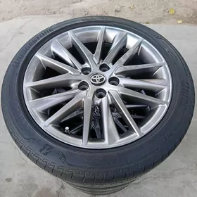 Yewropeyka disga pakryşga 18