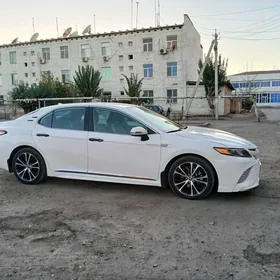 Toyota Camry 2019